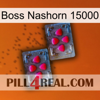Boss Rhino 15000 14